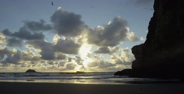 New Zealand beach sunset