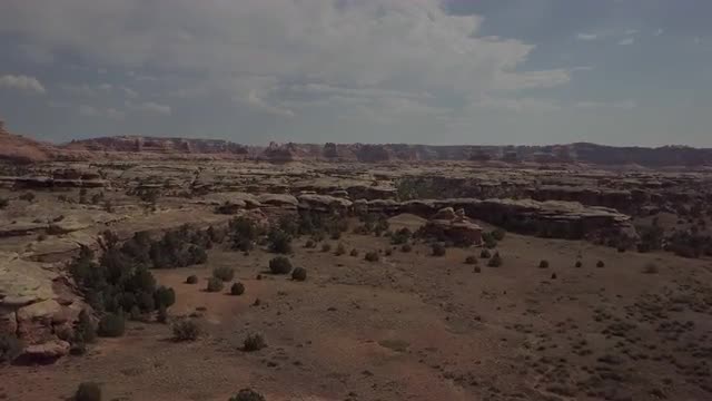 Aerial view of Needles. Canyonlands National Park. Utah USA