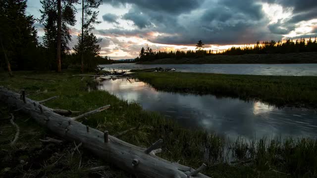 Time lapse after the sun has set over forest along river in Yellowstone