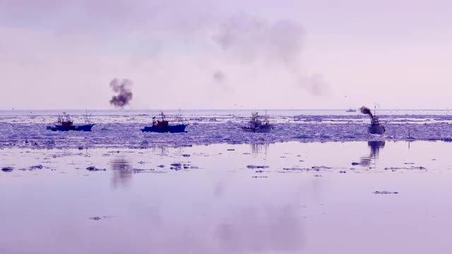 Fishing boats, Hokkaido, Japan