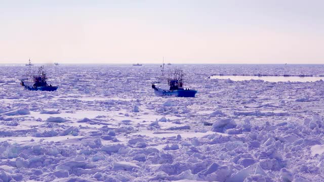 Fishing boats, Hokkaido, Japan