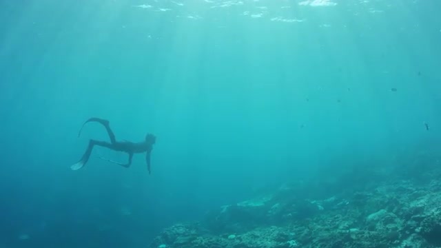 Spearfisher Swims into Beams of Light