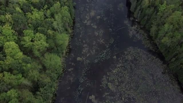 Aerial flyover of swampy lake in forest of northern canada