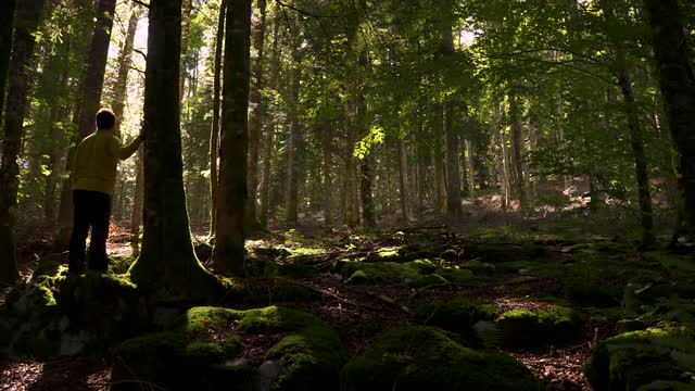 Man at the forest. Nature background