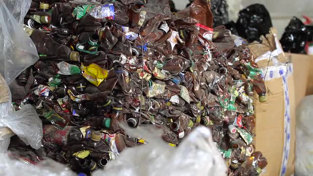 Water bottles gathered on a deposit for recycling.
