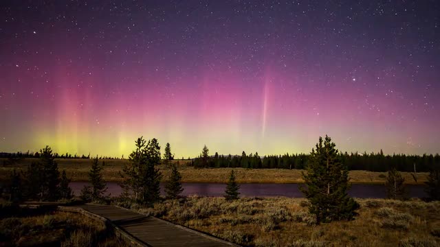 Time lapse of Northern Lights viewed through pine trees