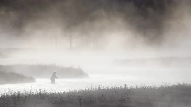 Fly fisherman casting through fog