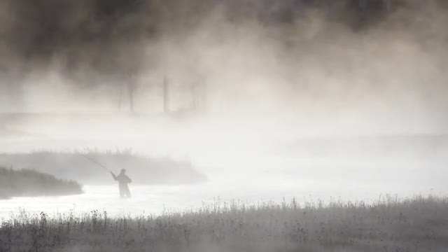 Fly fisherman casting through fog