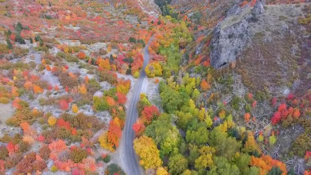 View of canyon in Fall flying backwards over road winding through forest
