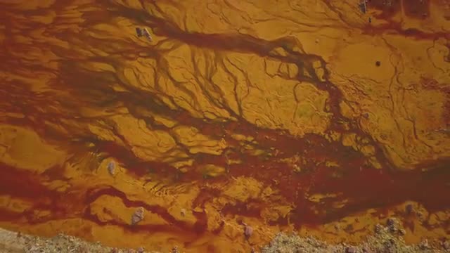 Heavy metals deposits make beautiful patterns in river