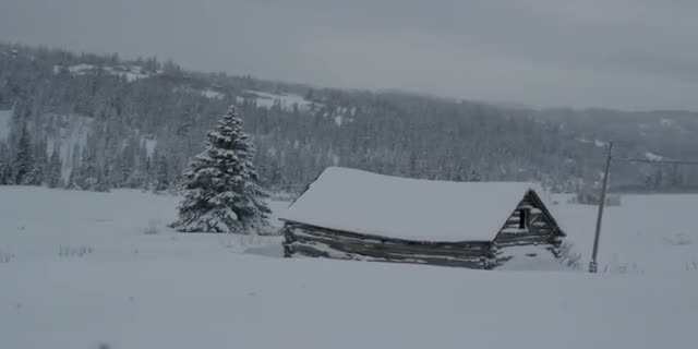 A007 C022 0229M 0023