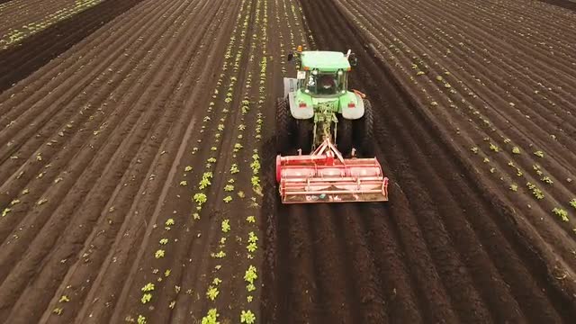 Tractor cultivates the land in the field.