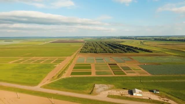 Aerial view of farmland.