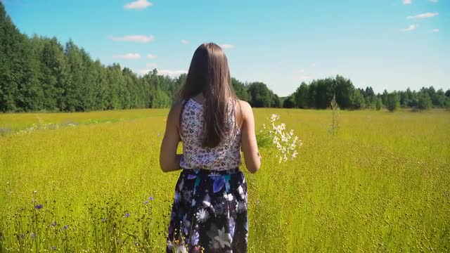 Summer landscape, girl, field of flax