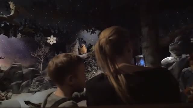 Boy with mother traveling through winter forest in amusement park