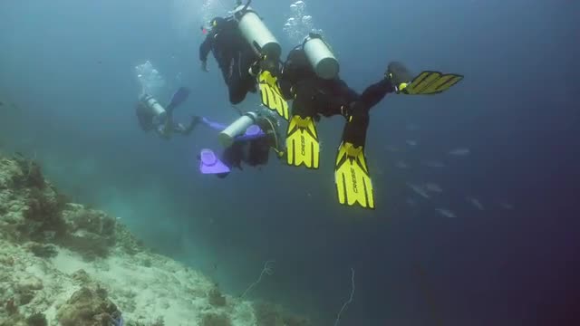 Scuba Divers underwater.