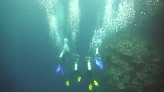 Scuba Divers underwater.