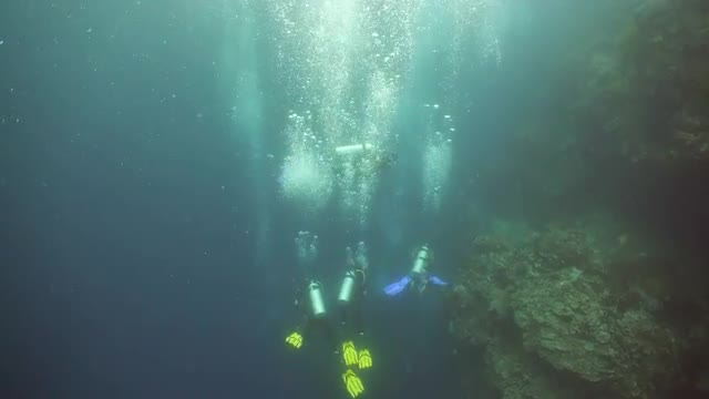 Scuba Divers underwater.