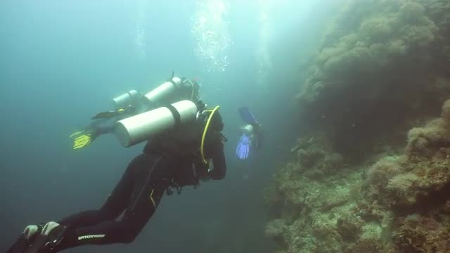 Scuba Divers underwater.