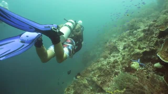 Scuba Diver underwater.