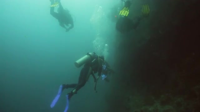 Scuba Divers underwater.