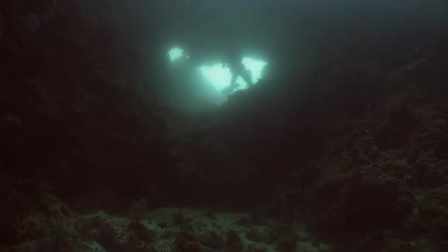 Scuba Divers underwater.