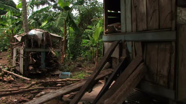 Two shacks in Africa full of wood and debris.