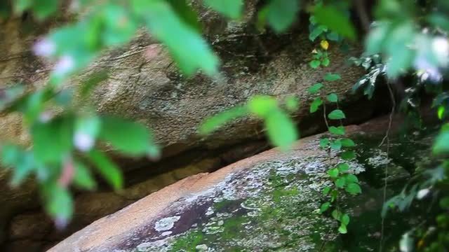 Slow panning shot of some large boulders stacked in the forest of Kenya