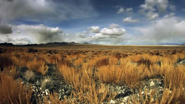 Salt Lake.mov