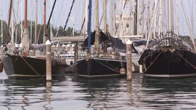 Static shot of the bow of some sailboats docked in the marina bobbing on gentile waves.