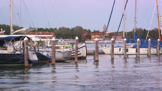 Panning shot of the stern of some sailboats docked in the marina. Public Gardens in the background.