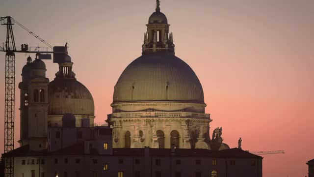 Static shot of Santa Maria della Salute and bird flying by.