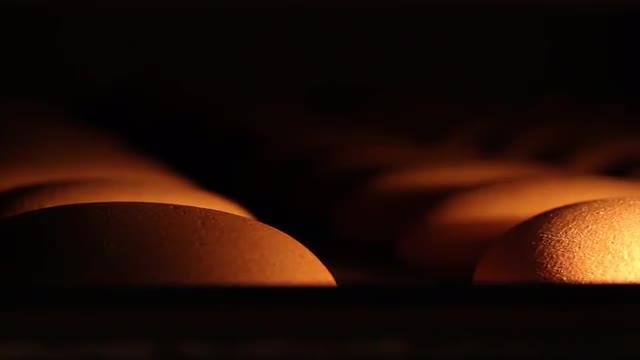 Bread baking in the oven.