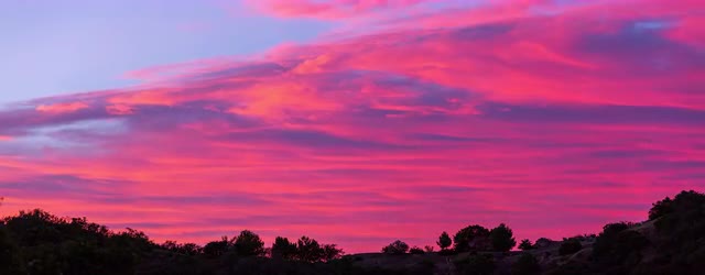 Los Angeles - Piuma Sunset