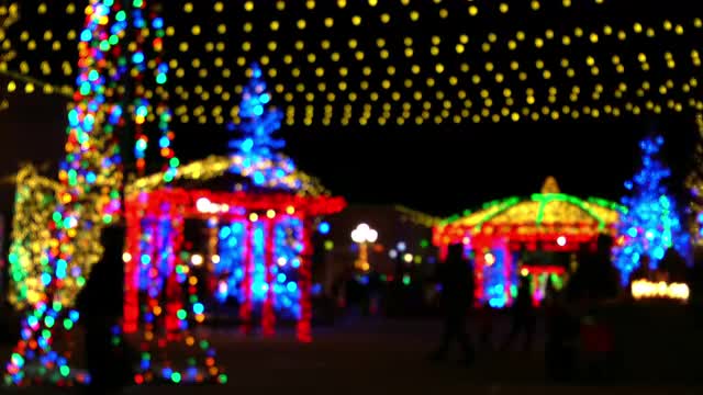 Silhouette of people walking through holiday light scene.