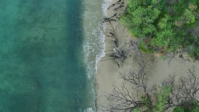 Look Down - Hawaiian Beach - Drone