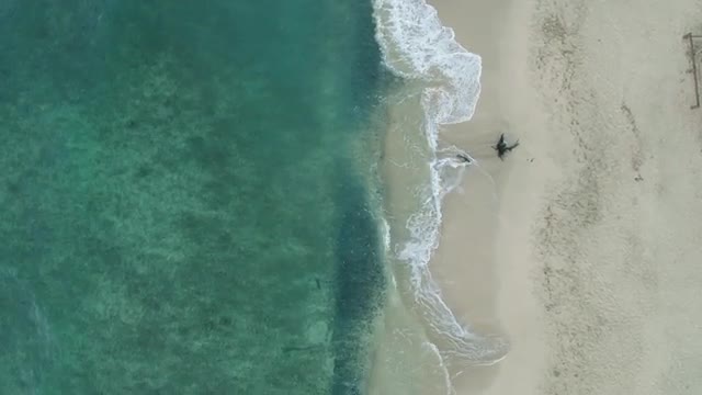 Look Down - Hawaiian Beach 2 - Drone