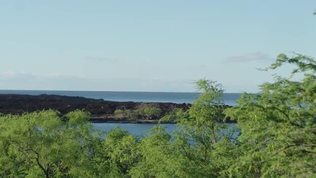 Hawaiian Bay Reveal Tight - Drone