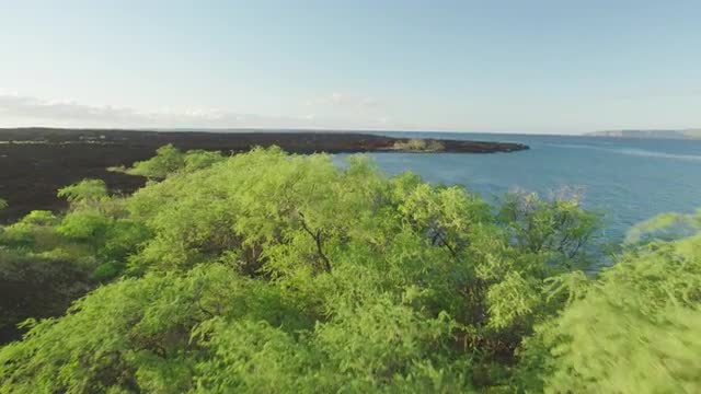 Hawaiian Bay Reveal Wide - Drone