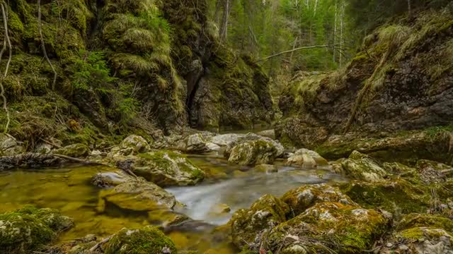 Austria - River Canyon - Spring - Timelapse - 4K - UHD