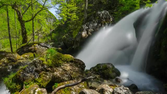 Austria - Forest Waterfall - Summer - Timelapse - 4K - UHD