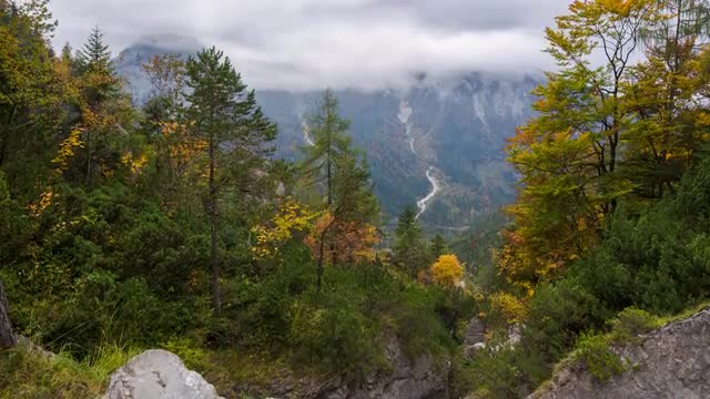 Austria - Mountain Forest - Autumn - Timelapse - 4K - UHD