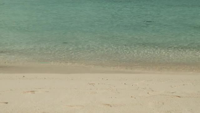 Crystal Clear Water on Shore