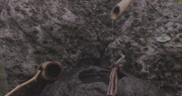 A Series of 4K Slow Motion Japanese Garden shots