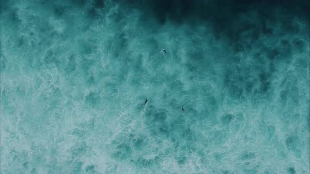 Surfers paddle in the Surf