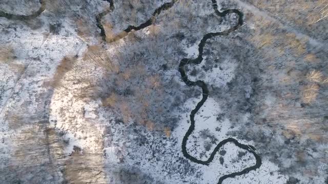 Winter landscape with forest, river. Winter landscape.