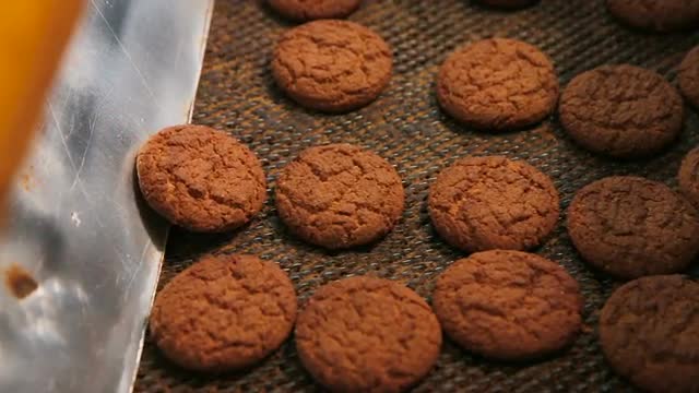 Cookies are moving on the conveyor line.