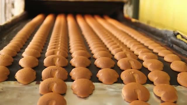 Cookies are moving on the conveyor line.