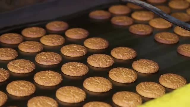 Fresh biscuits made in the factory