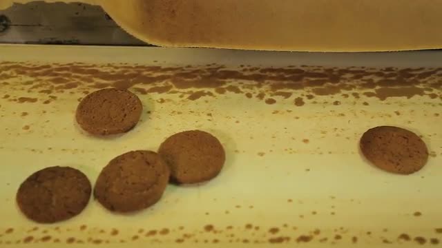 Cookies are moving on the conveyor line.
